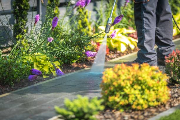 Best Animal Enclosure Cleaning  in Rosenberg, TX