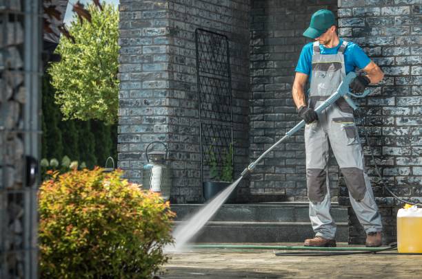 Best Fence Cleaning  in Rosenberg, TX